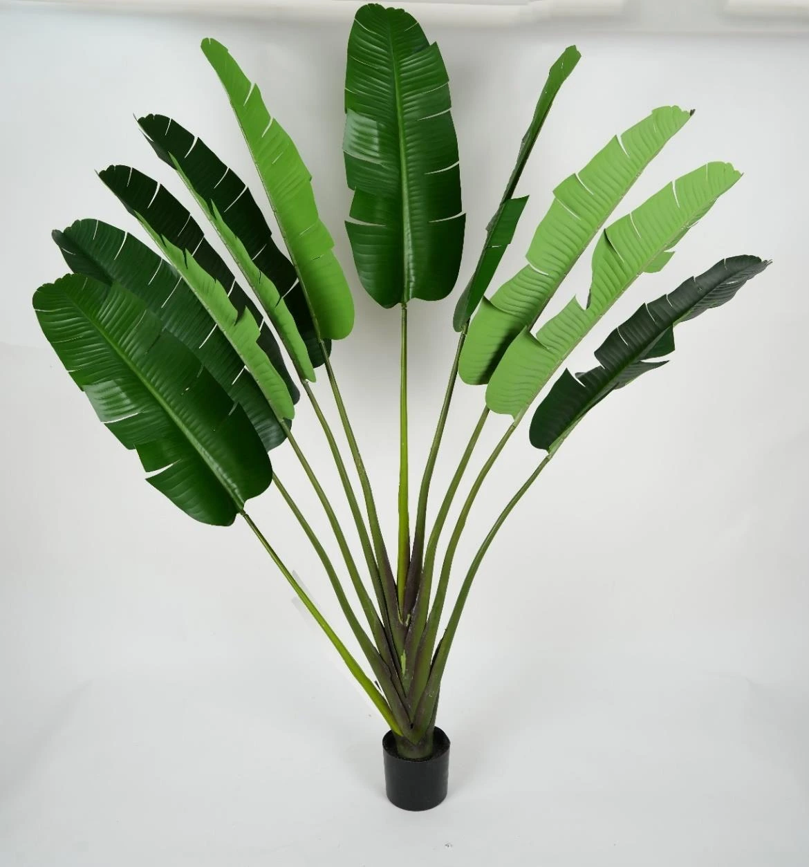 Banana One Sided Tree x10Lvs PE Leaves And PU Trunk 220cm